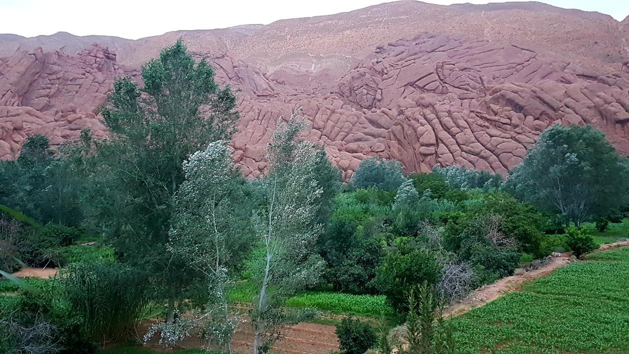 Auberge Kasbah Ait Marghad Tamellalt  Dış mekan fotoğraf