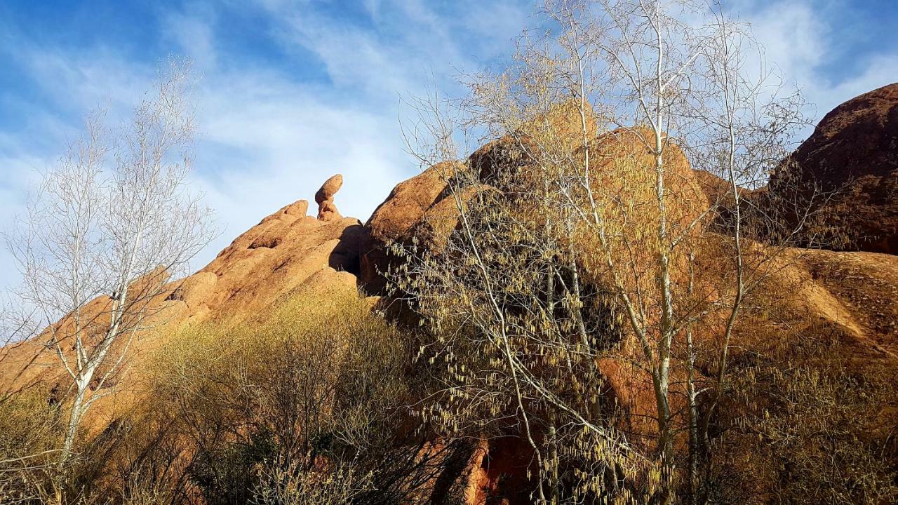 Auberge Kasbah Ait Marghad Tamellalt  Dış mekan fotoğraf