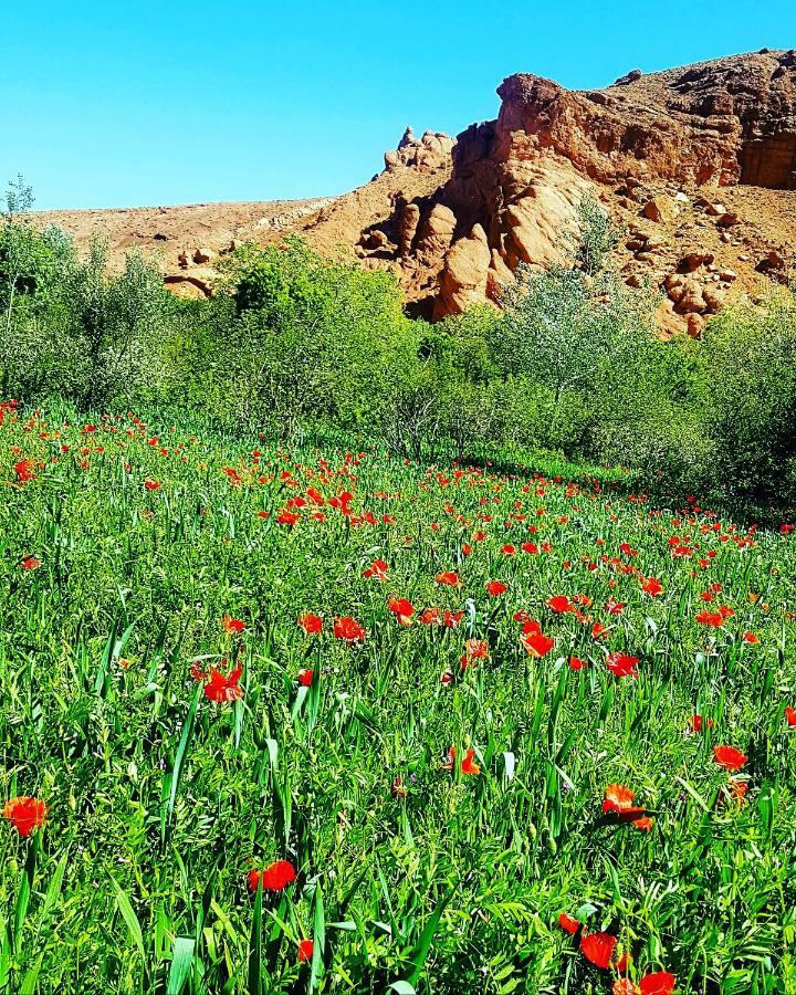 Auberge Kasbah Ait Marghad Tamellalt  Dış mekan fotoğraf